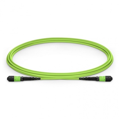 12 Fibers MTP/MPO to MTP/MPO OM5 Multimo